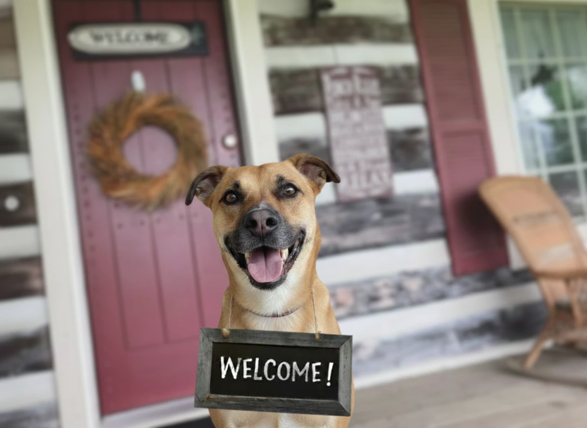 Dog with a welcome sign around his neck in front of Uncle Pete's cabin.